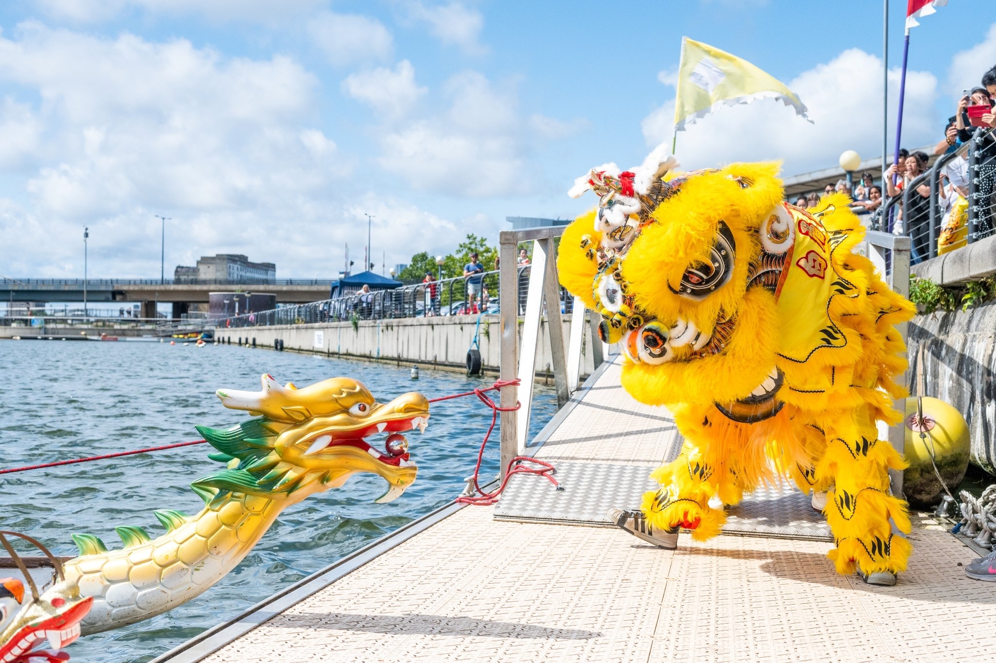 DBX_DragonboatLion