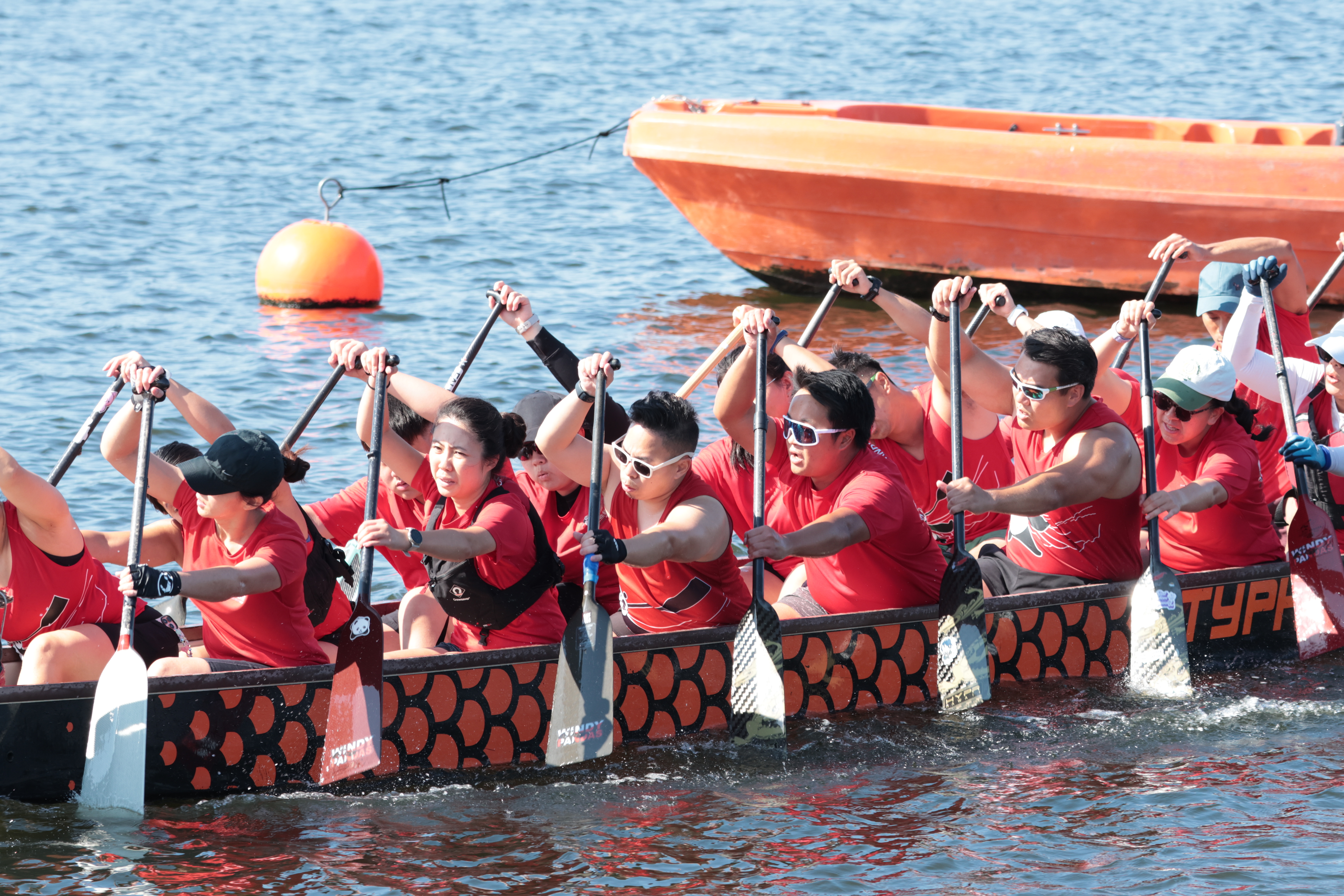 Dragon Boat Timing: Why Synced Strokes Win Races