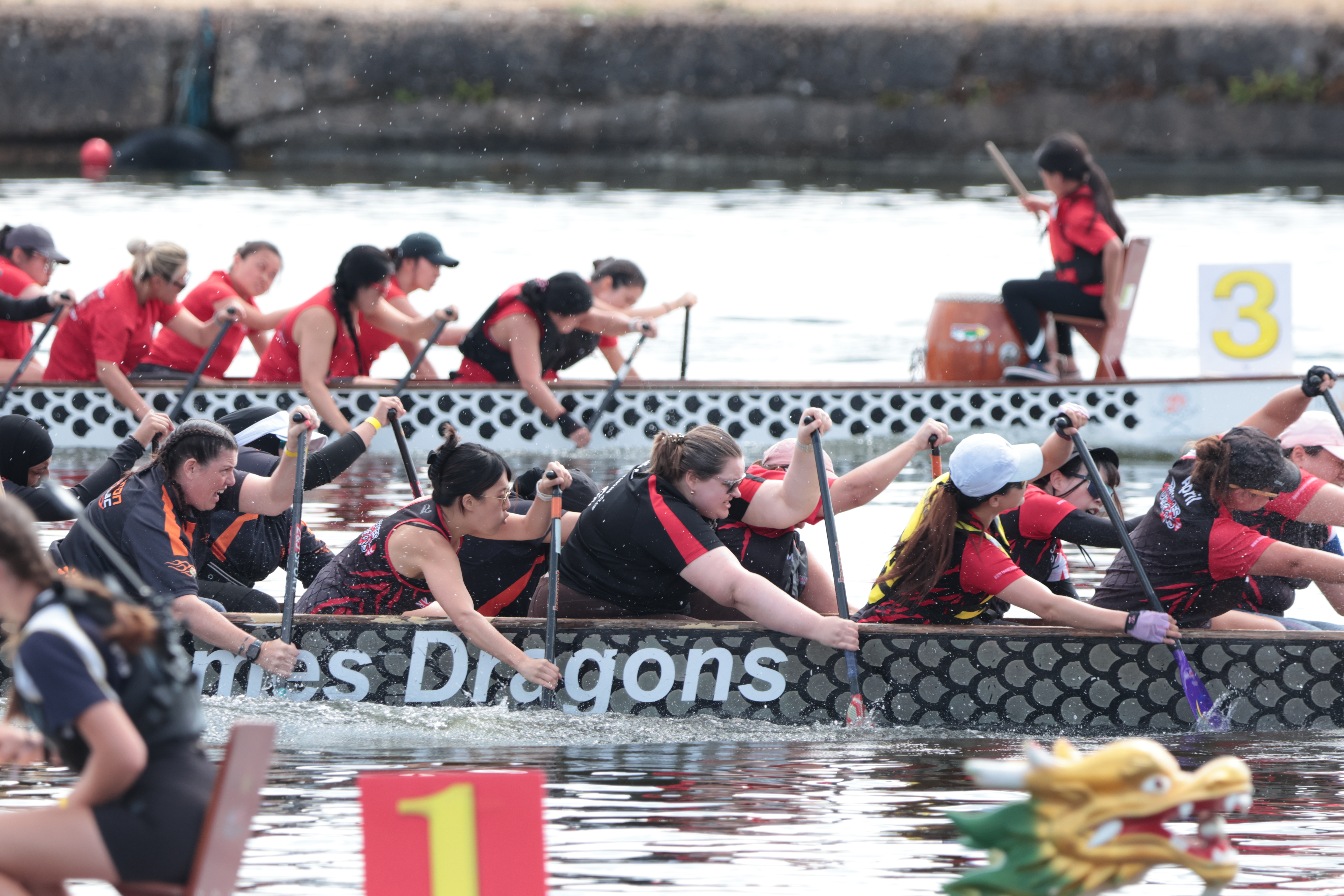 295A8570_Original